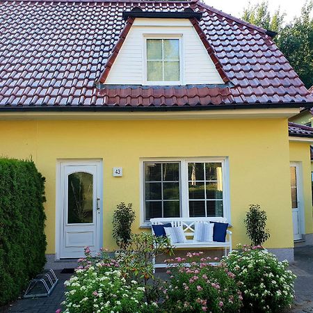Am Deich 43 Villa Zingst Dış mekan fotoğraf